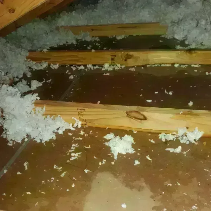 Attic Water Damage in Baxter, MN