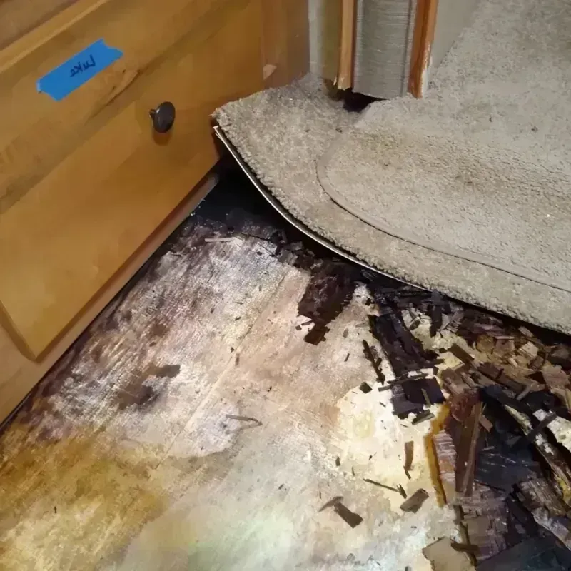 Wood Floor Water Damage in Baxter, MN